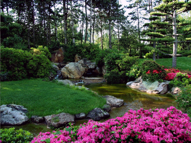 Garden Services in KZN