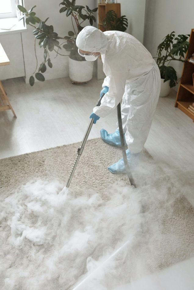 Carpet Cleaning in KZN